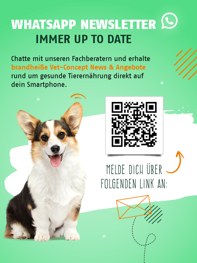 WhatsApp Newsletter. Chatte mit unseren Fachberatern und erhalte brandheiße Vet-Concept News & Angebote direkt auf dein Smartphone.