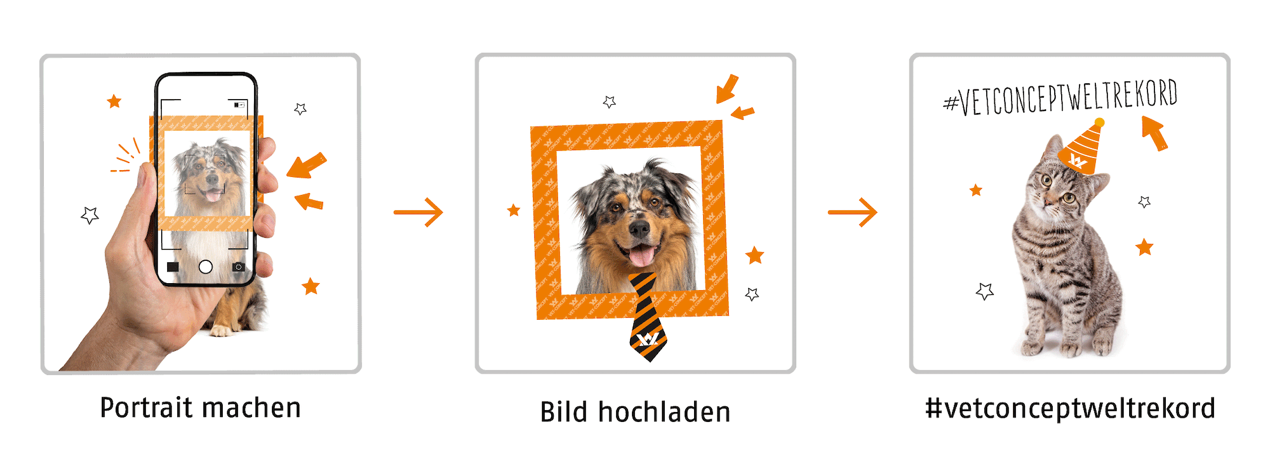 Portrait machen, Bild hochladen und Teil des Weltrekords werden!