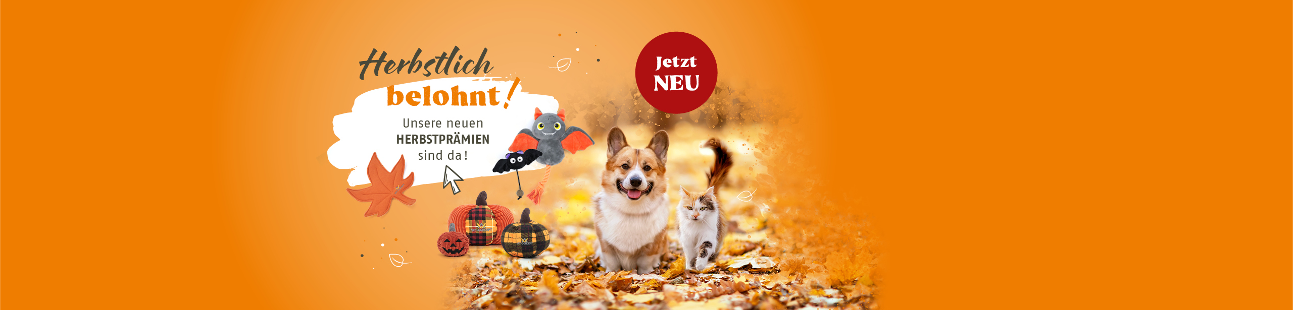 Herbstlich belohnt. Unsere neuen Herbstprämien sind da. Jetzt entdecken.