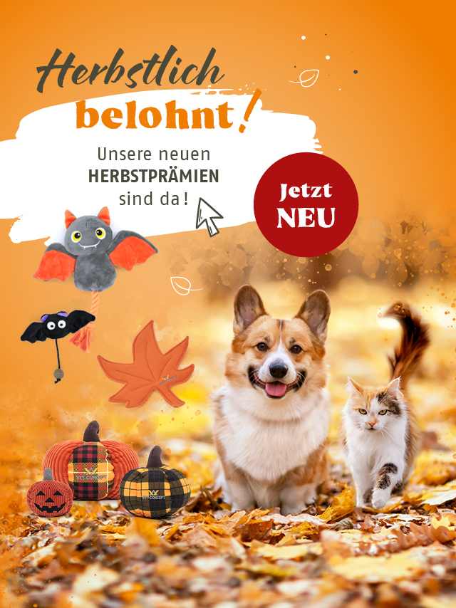 Herbstlich belohnt. Unsere neuen Herbstprämien sind da. Jetzt entdecken.