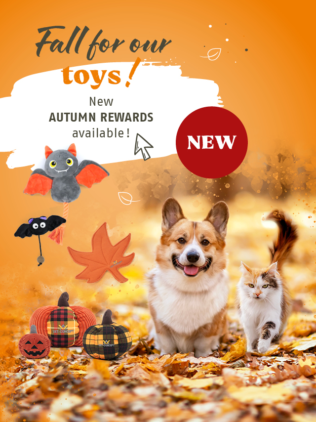 Herbstlich belohnt. Unsere neuen Herbstprämien sind da. Jetzt entdecken.