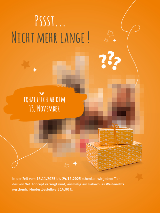 Psst... Nicht mehr lange! Die Weihnachtsgeschenke sind ab dem 13. November erhältlich.