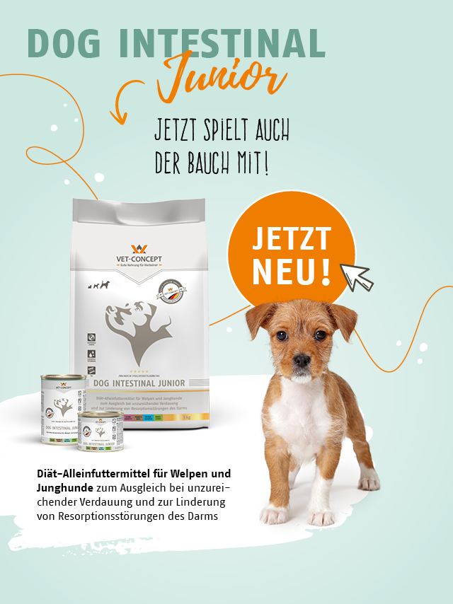 Jetzt Neu: Dog Intestinal Junior. Diät-Alleinfuttermittel für Welpen und Junghunde.