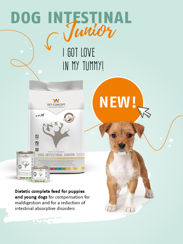 Jetzt Neu: Dog Intestinal Junior. Diät-Alleinfuttermittel für Welpen und Junghunde.