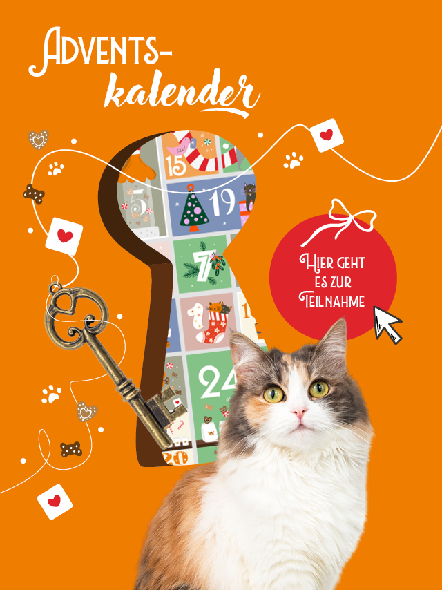 Unser Adventskalender 2025 startet. Öffnen Sie jeden Tag ein Türchen und haben täglich die Chance auf tolle Gewinne.