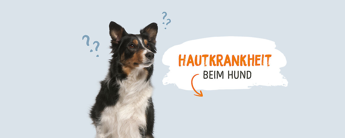 Bildbeschreibung