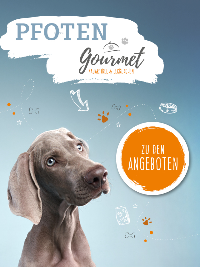 Vet-Concept Angebote f�r Kauartikel und Leckerchen. Jetzt sparen.