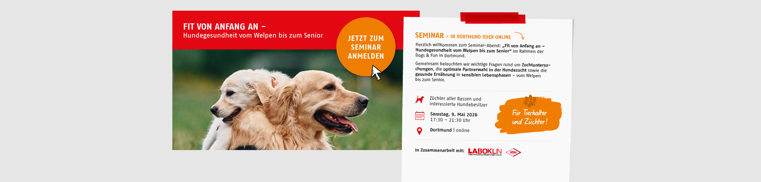 Seminar: Fit von Anfang an – Hundegesundheit vom Welpen bis zum Senior. Am 09. Mai.2026 in Dortmund oder online. Jetzt anmelden.