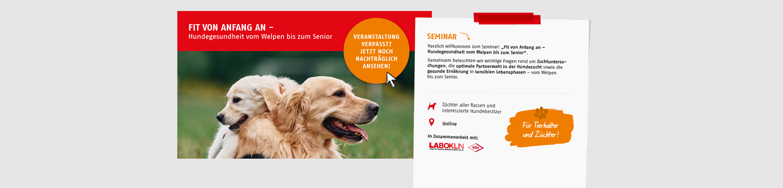 Seminar: Fit von Anfang an – Hundegesundheit vom Welpen bis zum Senior. Jetzt anmelden.