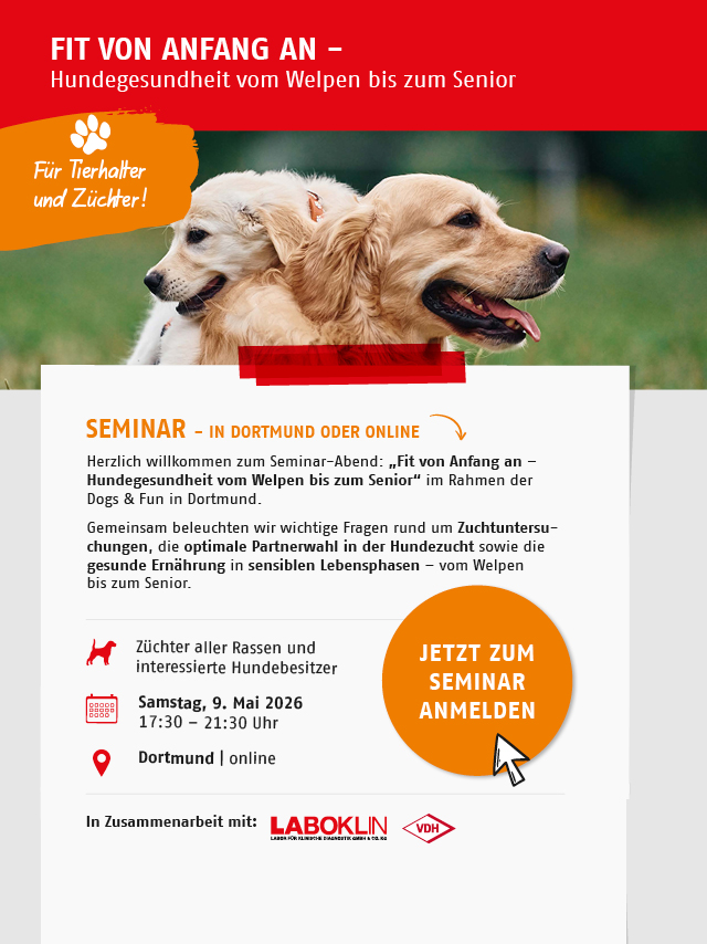 Seminar: Fit von Anfang an – Hundegesundheit vom Welpen bis zum Senior. Am 09. Mai.2026 in Dortmund oder online. Jetzt anmelden.