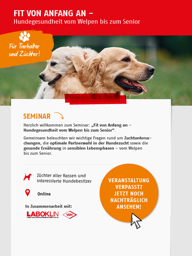 Seminar: Fit von Anfang an – Hundegesundheit vom Welpen bis zum Senior. Jetzt anmelden.