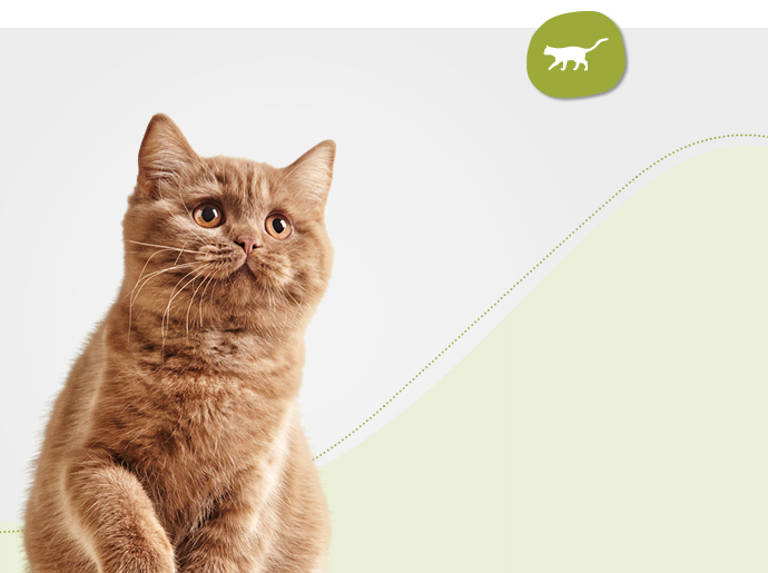 Katzenfutter und noch vieles mehr