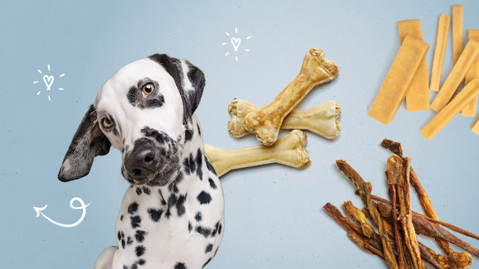 Vet-Concept Kauartikel f�r Hunde