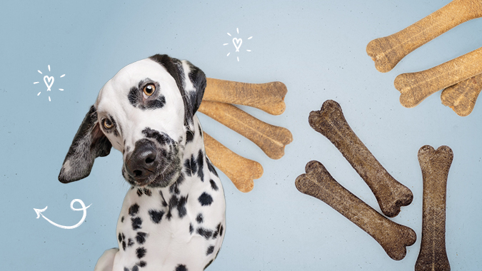 Vet-Concept Kauknochen f�r Hunde