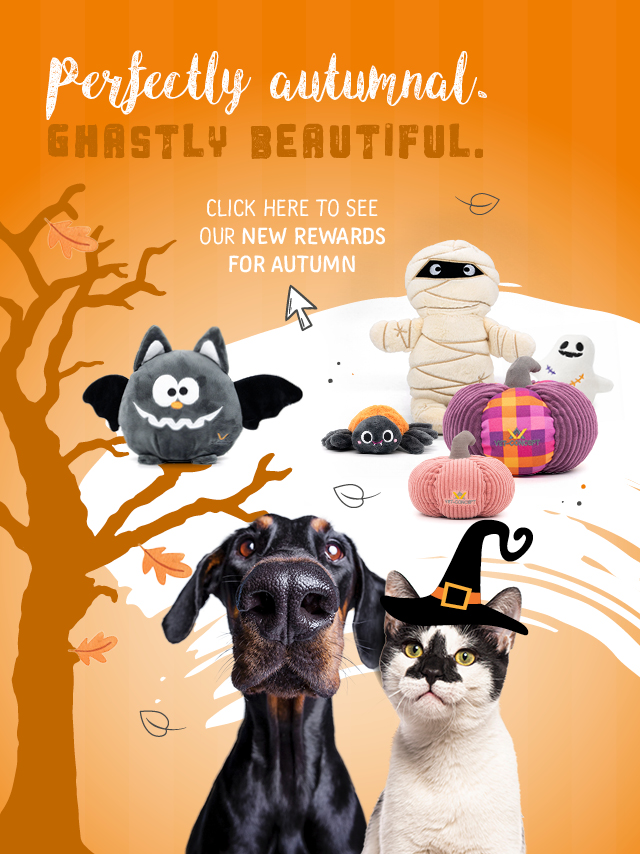 Jetzt neu in unserem Pr�mienshop. Unsere Herbstpr�mien: Spinne Kathi, Mumie Andy und K�rbis klein und gro�. Jetzt die neuen Spielzeuge f�r Ihre Vierbeiner entdecken.