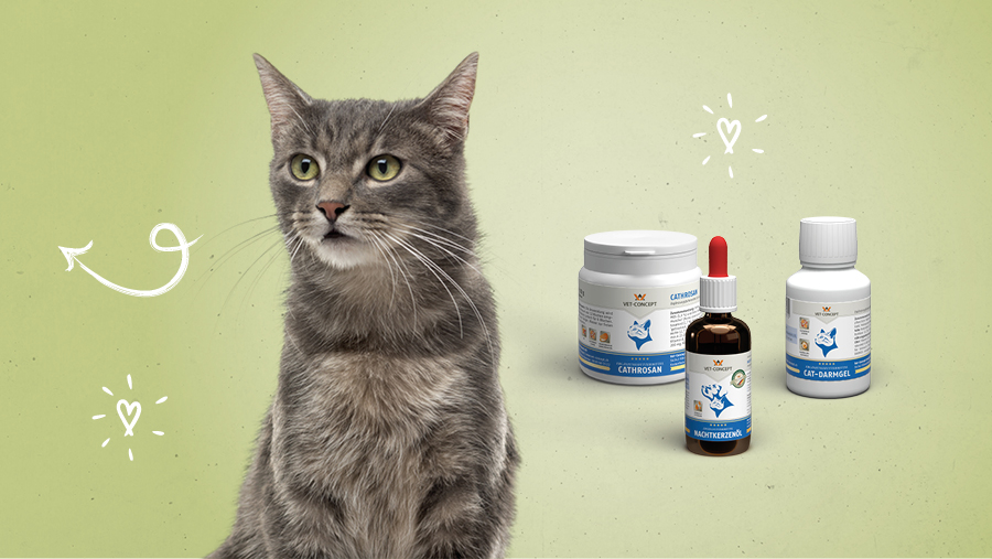 Vet-Concept Nahrungserg�nzungsmittel f�r Katzen