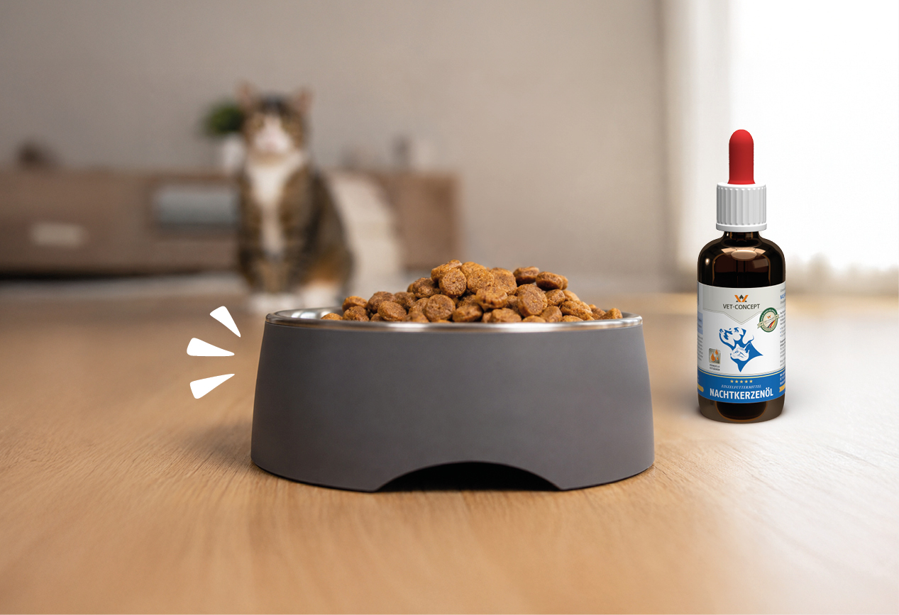 Vet-Concept Nahrungserg�nzungsmittel steht neben Katzenfutter