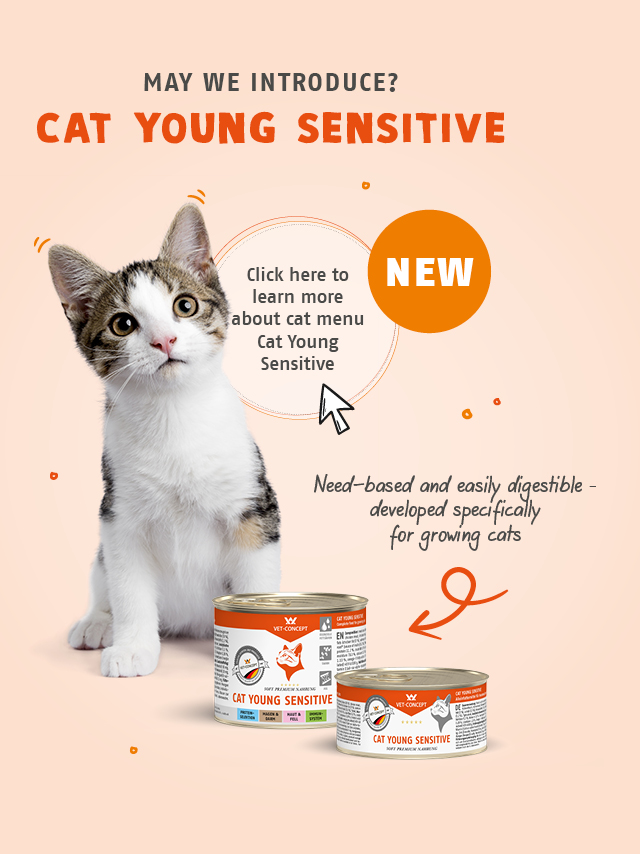 D�rfen wir vorstellen? Katzenmen� Cat Young Sensitive. Bedarfsgerecht & leicht verdaulich - speziell entwickelt f�r heranwachsende Katzen