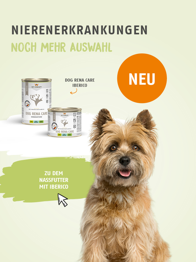 Nierenerkrankungen: Jetzt noch mehr Auswahl f�r Hund und Katze. Jetzt entdecken.