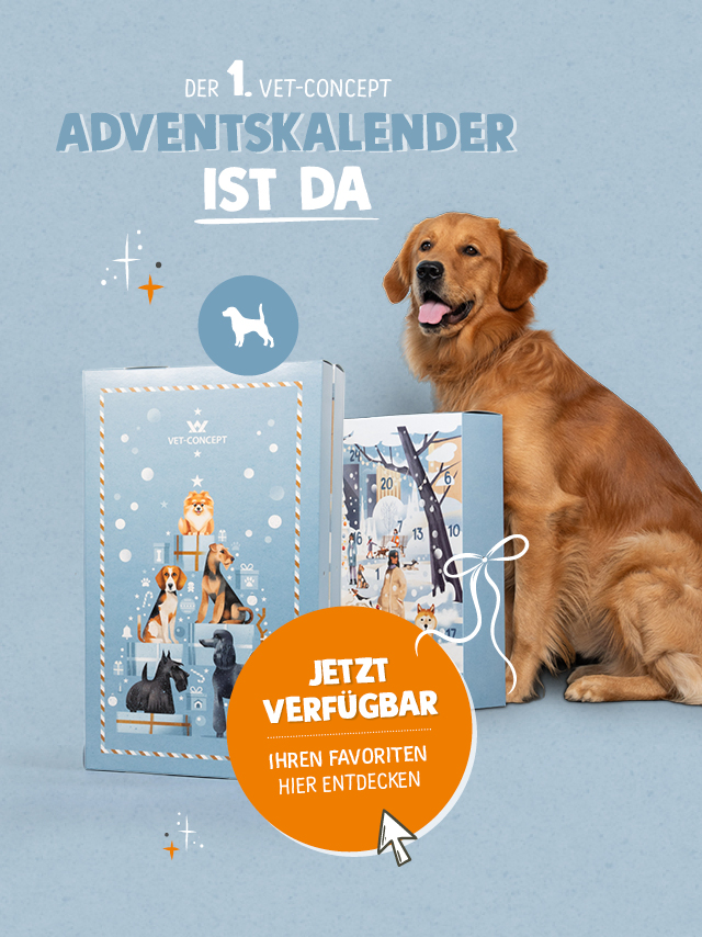 Der erste Vet-Concept Adventskalender. Jetzt alle Infos hier entdecken.