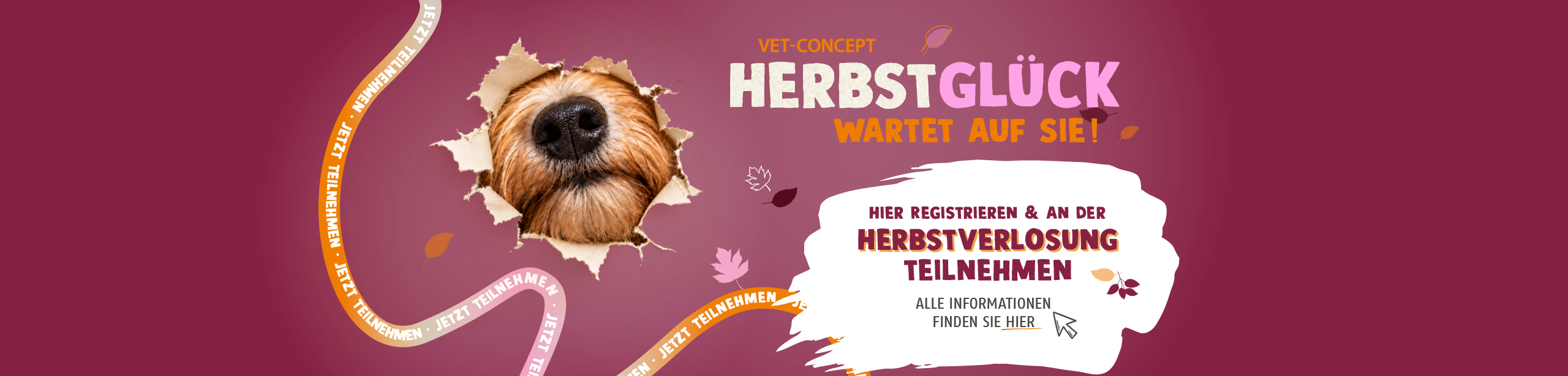 Das Vet-Concept Herbstgl�ck wartet auf Sie. Jetzt im Aktionszeitraum vom 01.10. bis 11.11.2026 registrieren und an der Herbstverlosung teilnehmen.