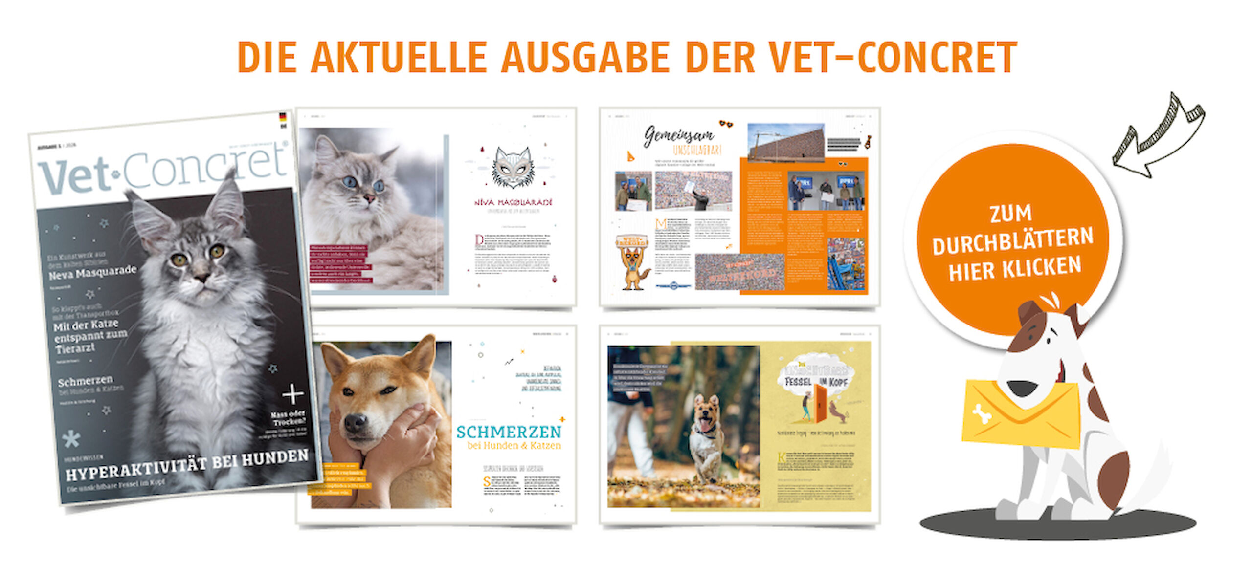 Die aktuelle Ausgabe der Vet-Concret