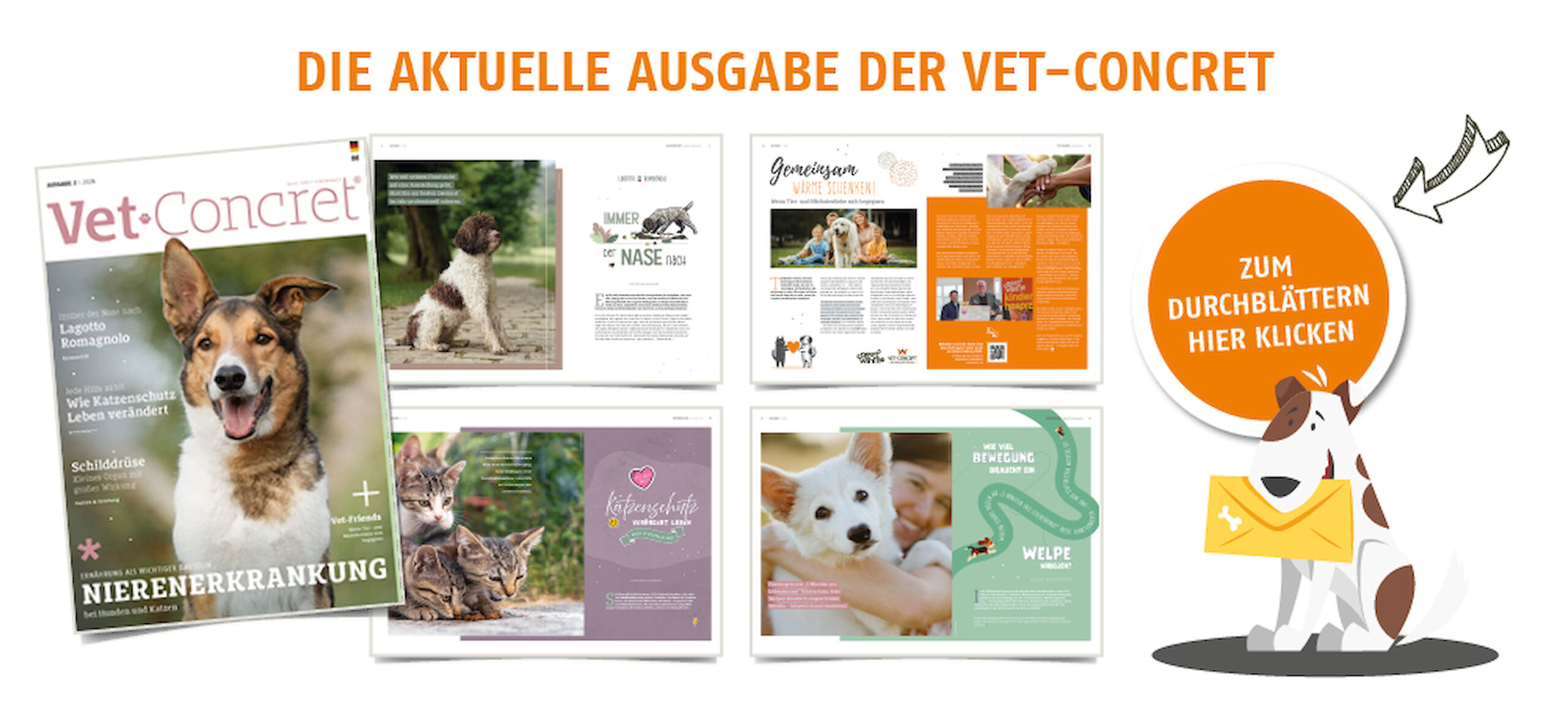 Die aktuelle Ausgabe der Vet-Concret