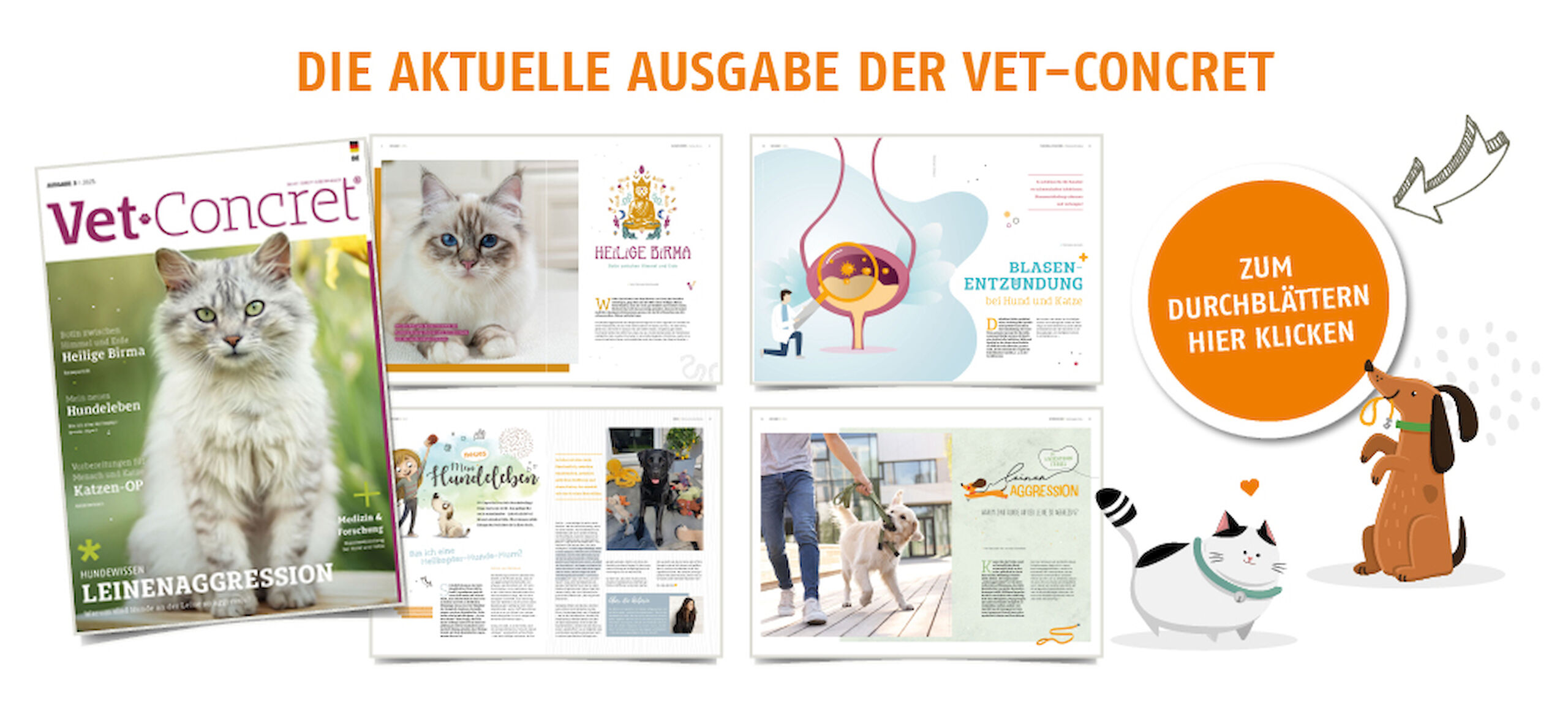 Die aktuelle Ausgabe der Vet-Concret