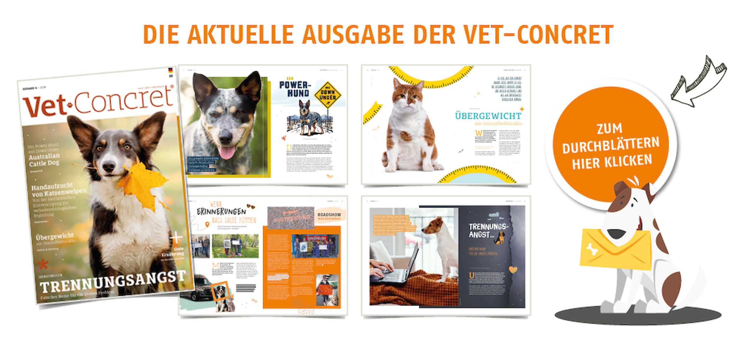 Die aktuelle Ausgabe der Vet-Concret