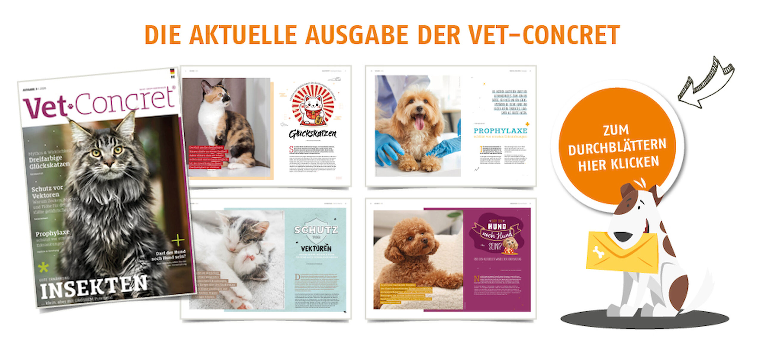 Die aktuelle Ausgabe der Vet-Concret