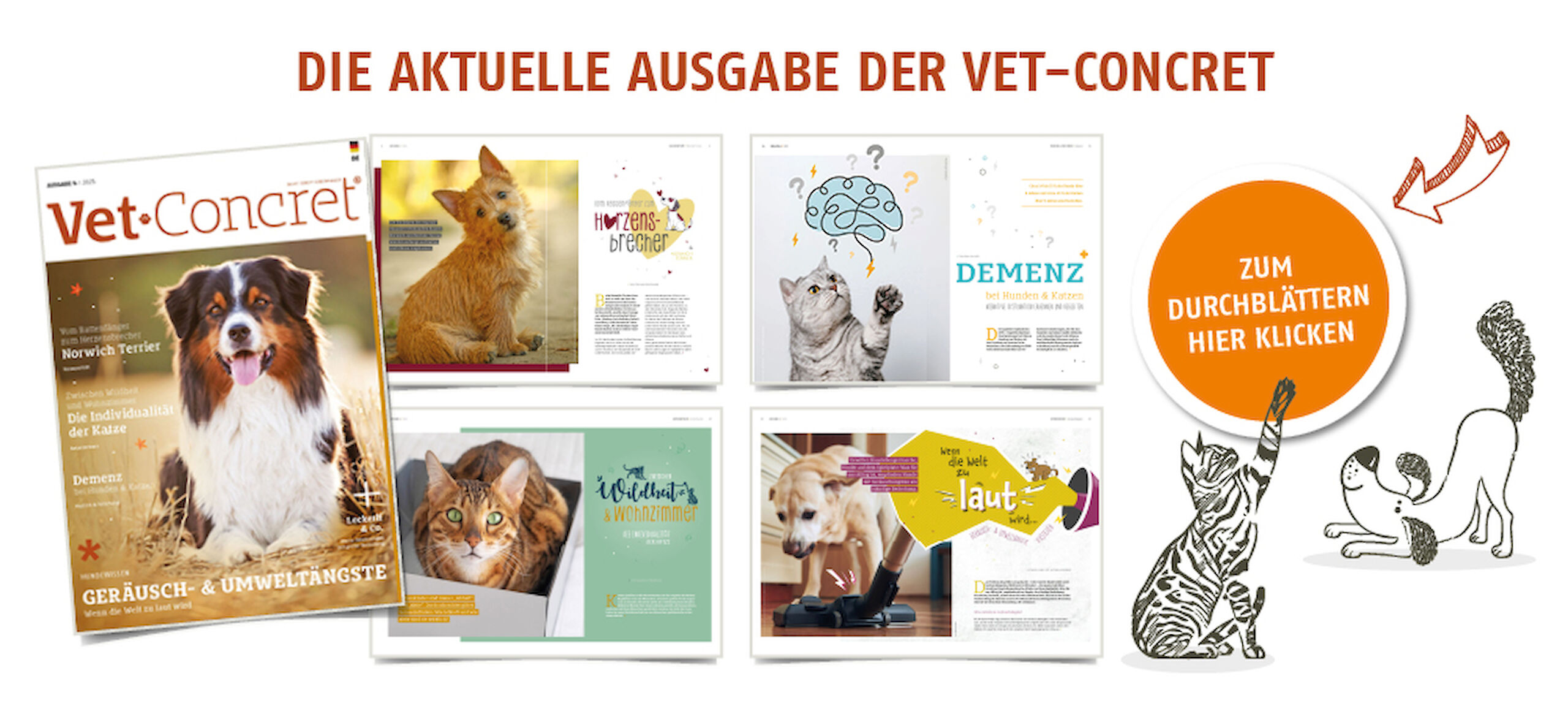 Die aktuelle Ausgabe der Vet-Concret