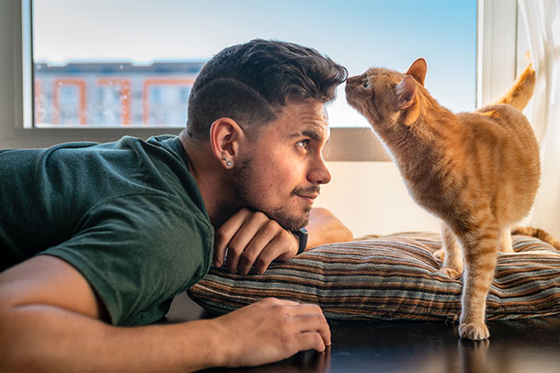 Rote Katze mit Besitzer Zuhause